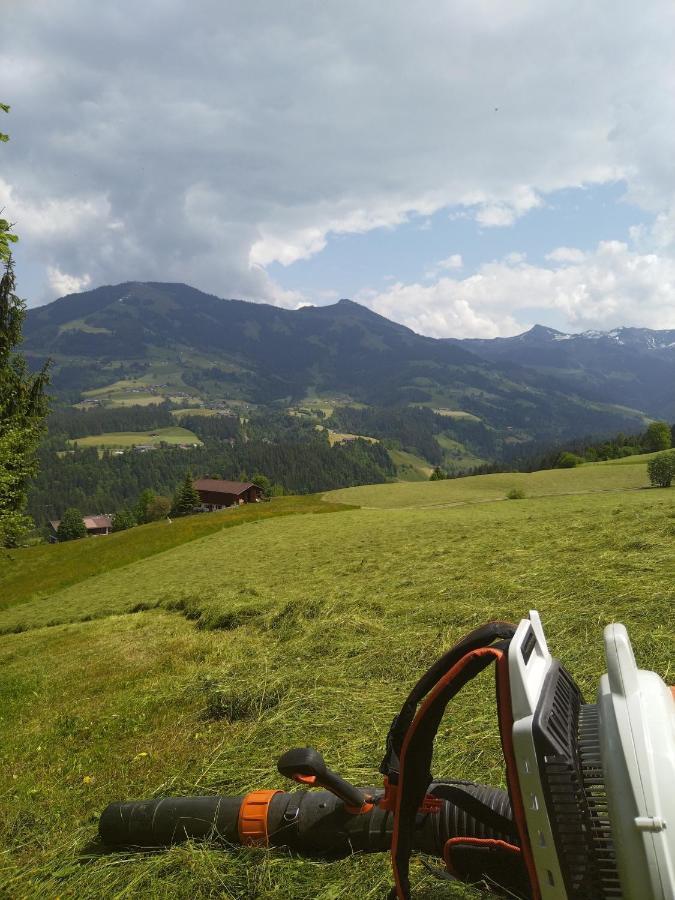 Schwemm Moos Lägenhet Westendorf Exteriör bild